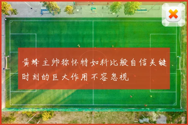 黄蜂主帅称怀特如科比般自信关键时刻的巨大作用不容忽视