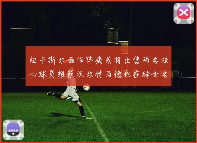 纽卡斯尔面临阵痛或将出售两名核心球员维萨沃尔特马德也在转会名单上