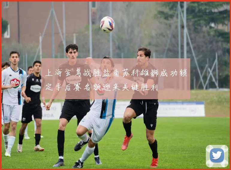 上海玄鸟战胜盐南苏科雄狮成功锁定季后赛名额迎来关键胜利