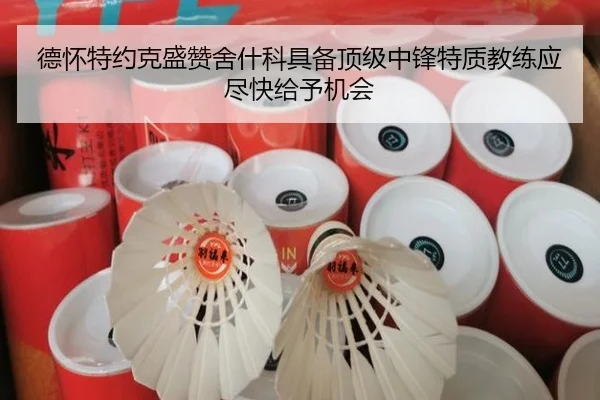 德怀特约克盛赞舍什科具备顶级中锋特质教练应尽快给予机会